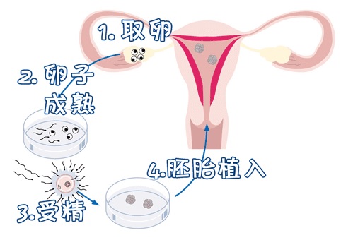 陳明瑜